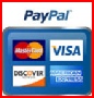 Online Payment Page